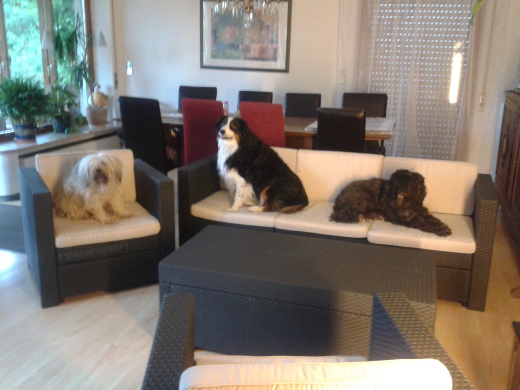 » Neue Gartenmöbel